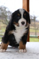 /album/a5-tyzden-5th-week-ii/chilli-2-jpg/